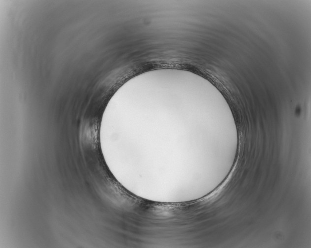 X0000092220190200709140929
