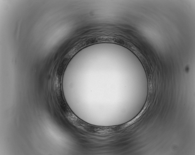 X0000092220191200709140929