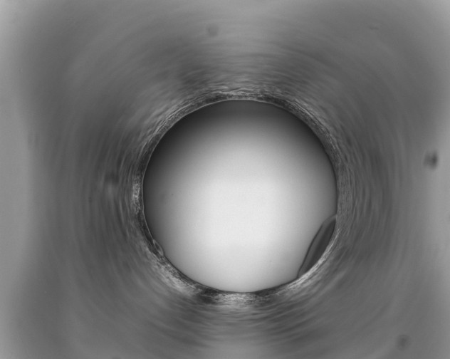 X0000092220192200709140929