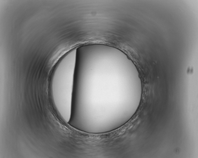 X0000092220194200709140928