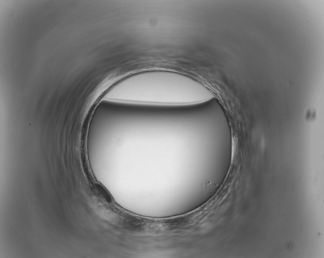 X0000092220195200709140928