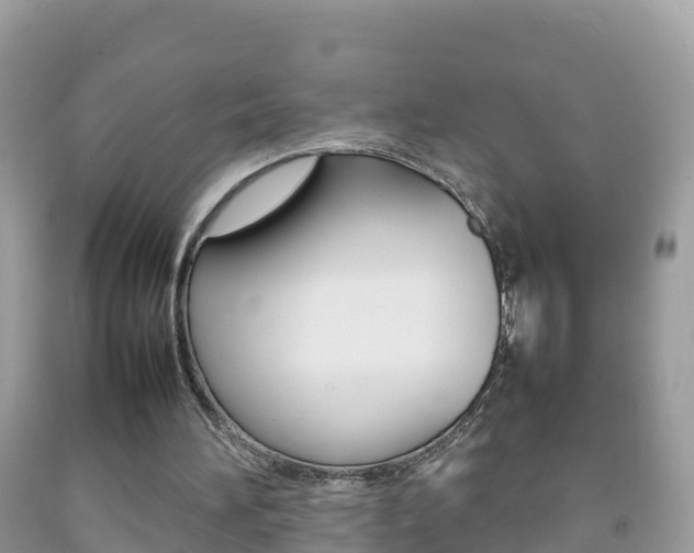 X0000092220196200709140928