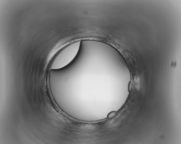 X0000092220198200709140928