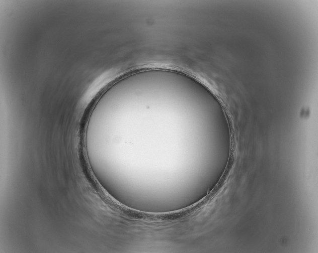 X0000092220199200709140928