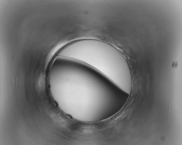 X0000092220200200709140928