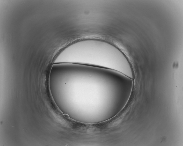 X0000092220201200709140928