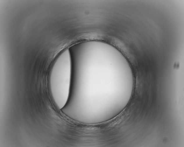 X0000092220202200709140928