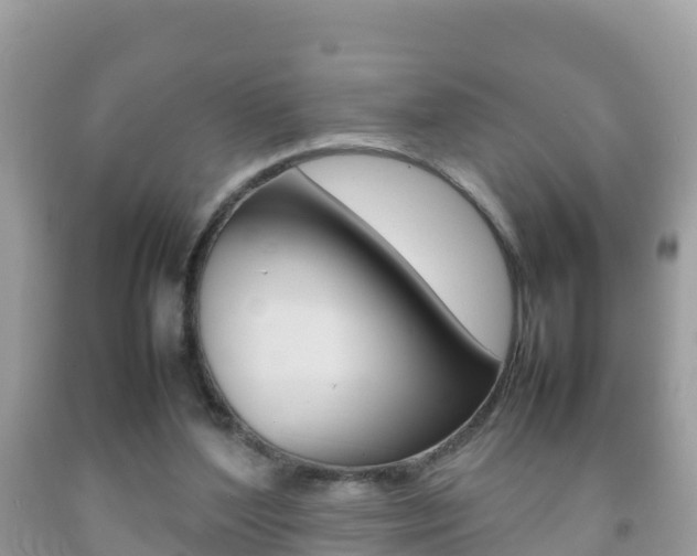 X0000092220204200709140928
