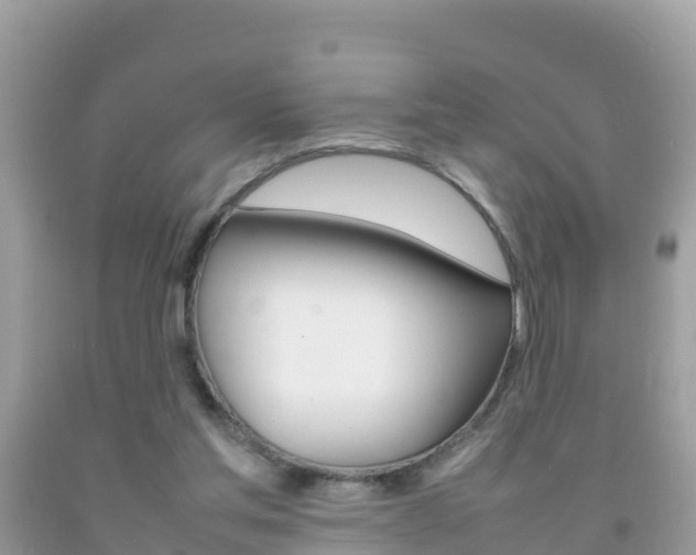 X0000092220205200709140928