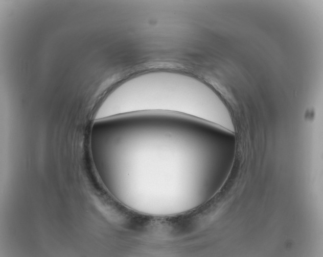 X0000092220207200709140928