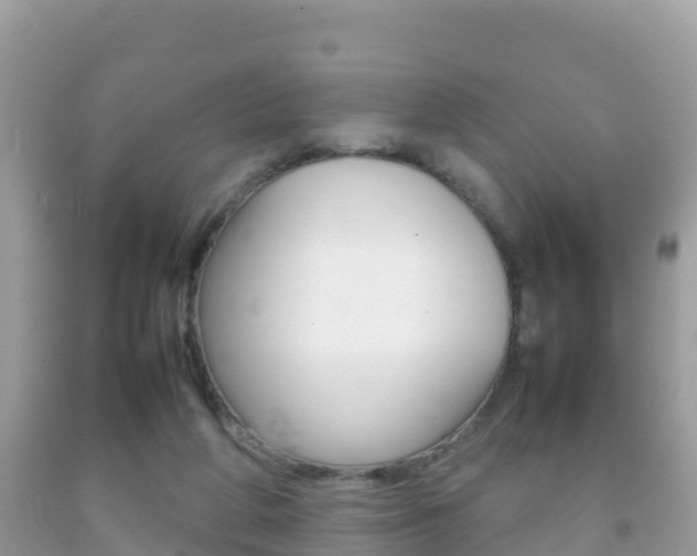 X0000092220210200709140928