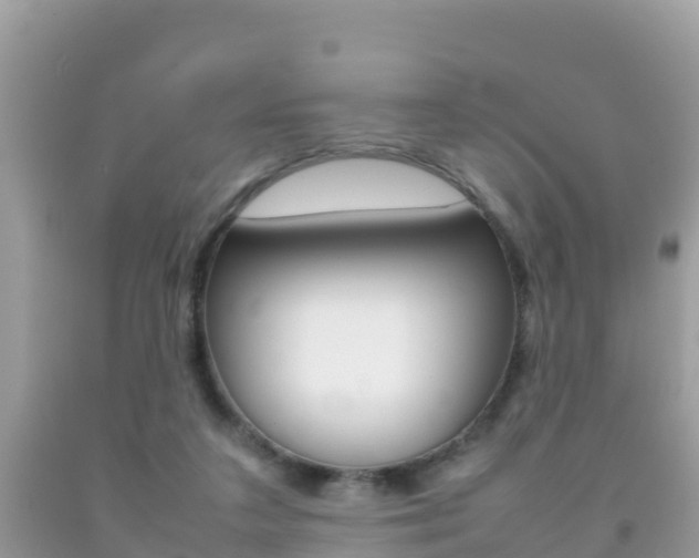 X0000092220211200709140928