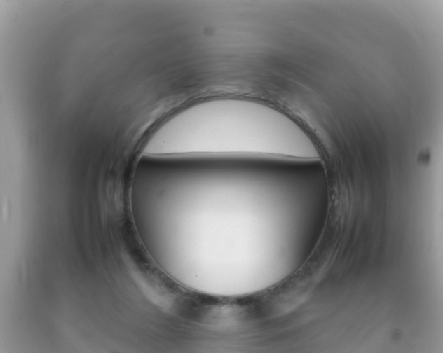 X0000092220212200709140928