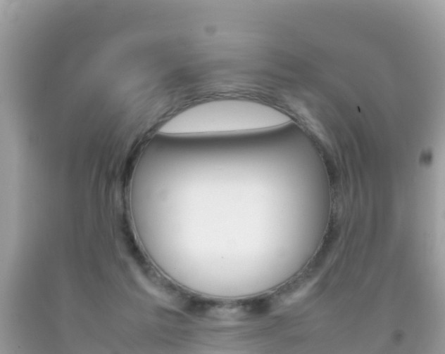 X0000092220213200709140928