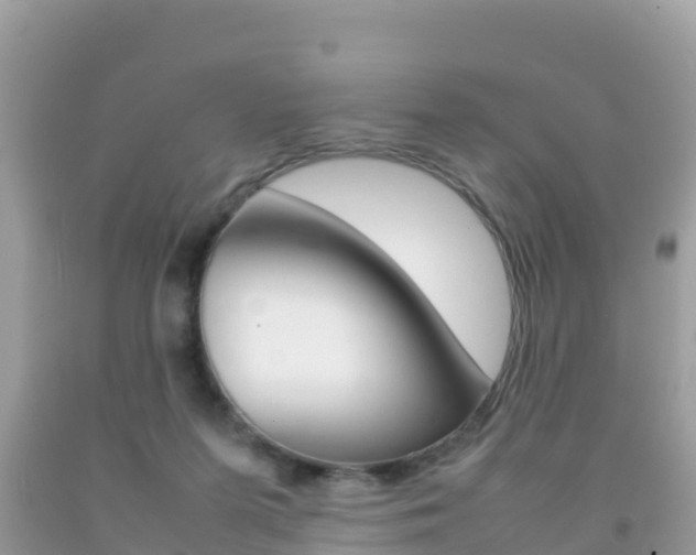 X0000092220215200709140928
