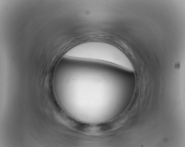 X0000092220217200709140928
