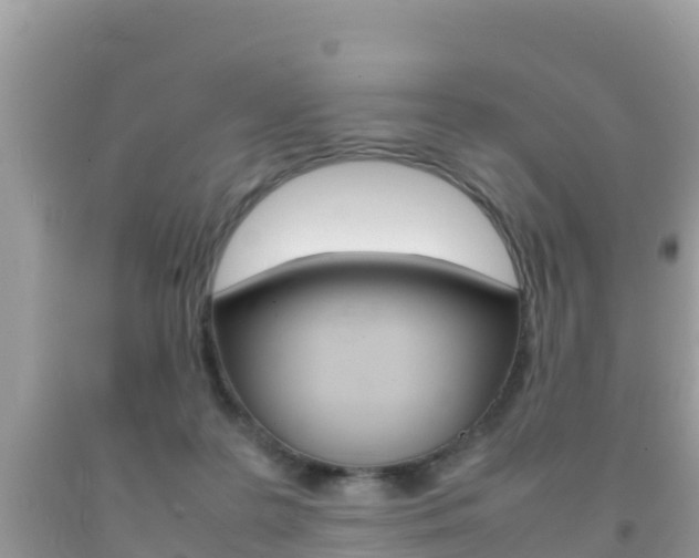 X0000092220219200709140928