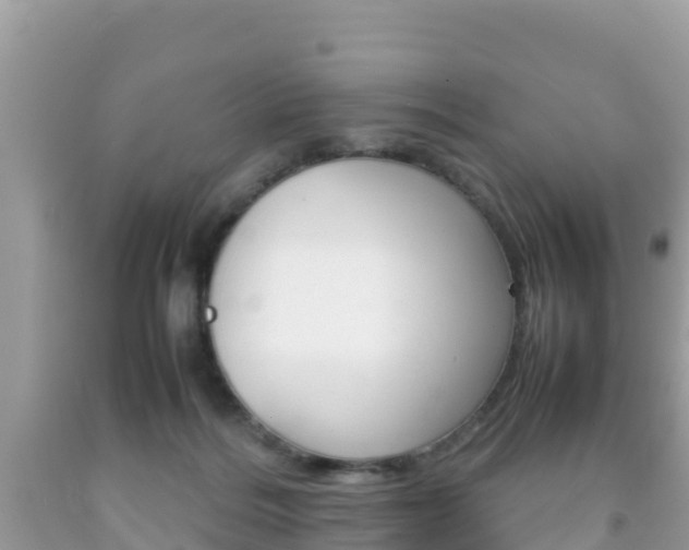 X0000092220220200709140928
