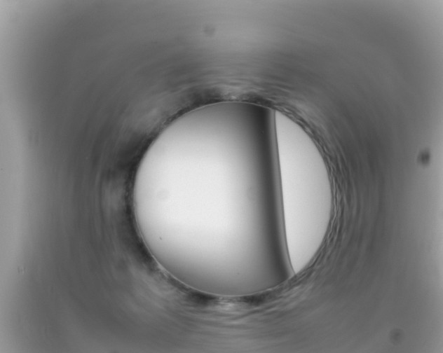X0000092220221200709140928