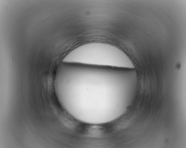 X0000092220222200709140928