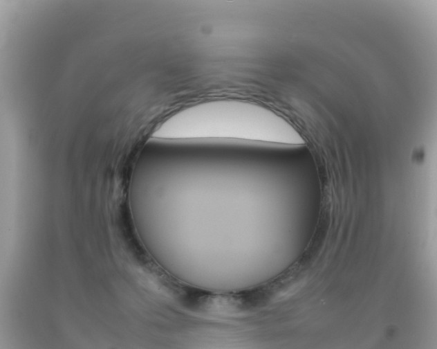 X0000092220223200709140928