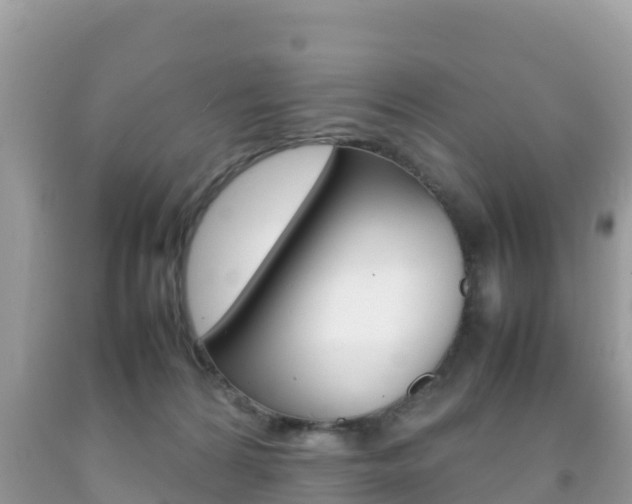 X0000092220224200709140928