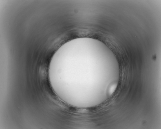 X0000092220226200709140928