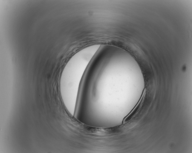 X0000092220229200709140928