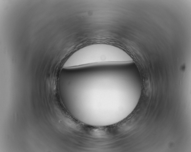 X0000092220232200709140928