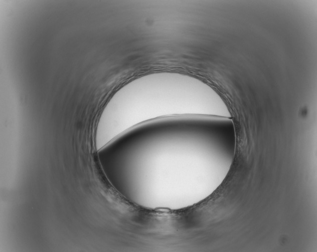 X0000092220233200709140928