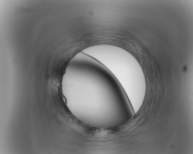X0000092220235200709140928