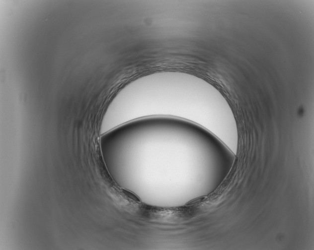 X0000092220237200709140928