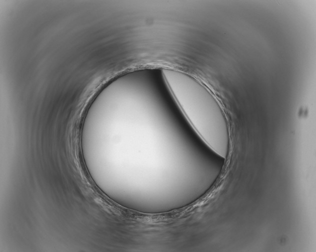 X0000092220241200709140927