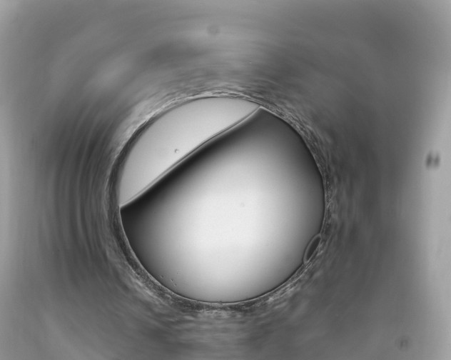 X0000092220242200709140927