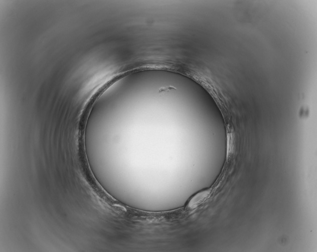 X0000092220243200709140927