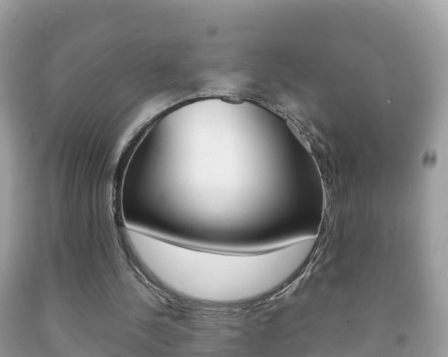X0000092220244200709140927