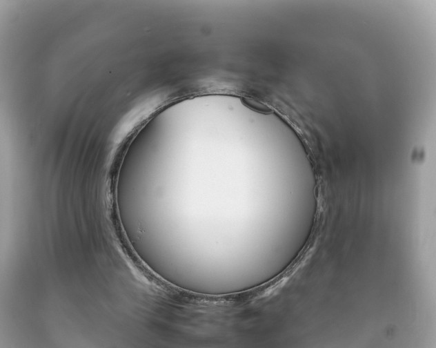 X0000092220245200709140927