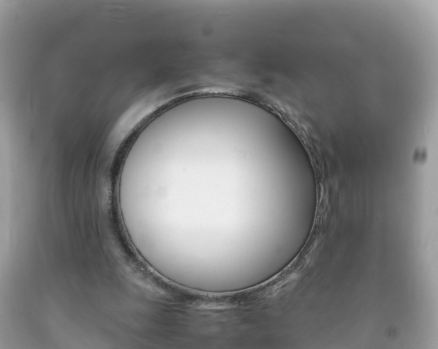 X0000092220247200709140927