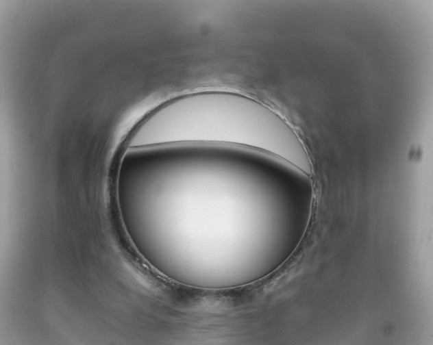 X0000092220248200709140927