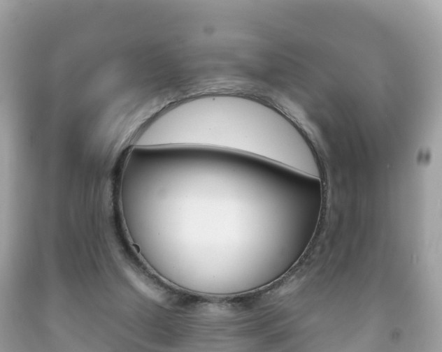 X0000092220250200709140927