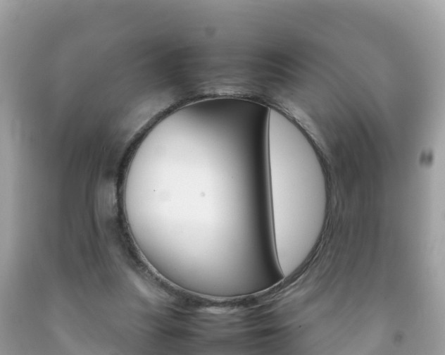 X0000092220251200709140927