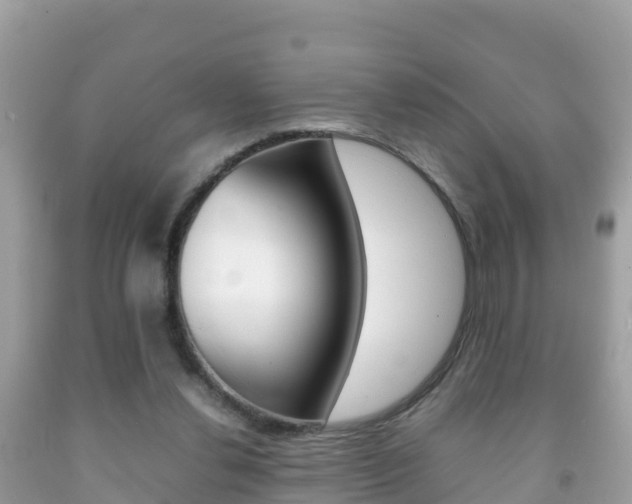 X0000092220252200709140927