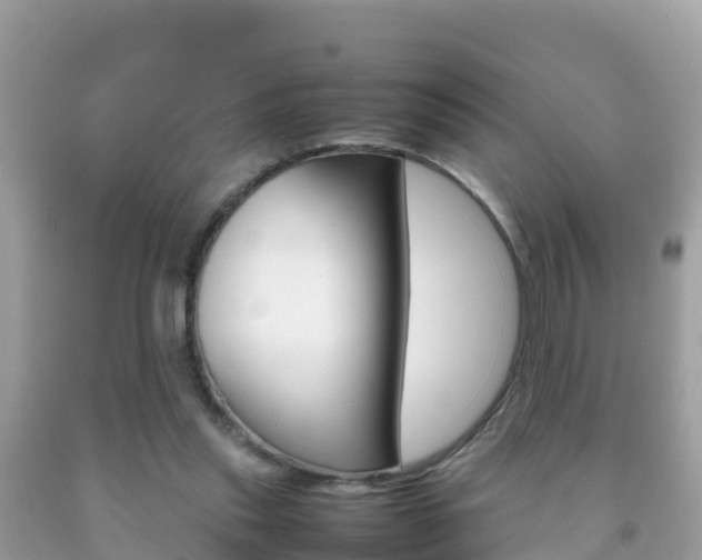 X0000092220253200709140927
