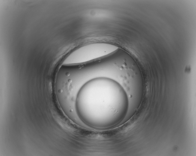 X0000092220254200709140927
