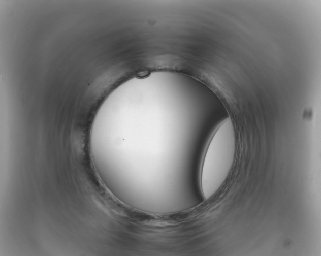 X0000092220255200709140927