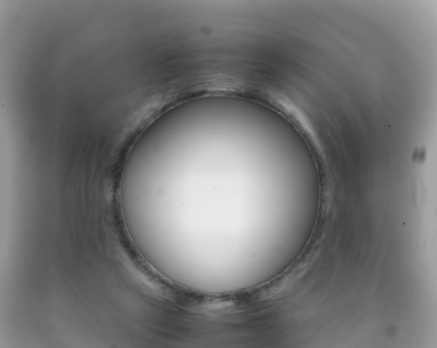 X0000092220257200709140927