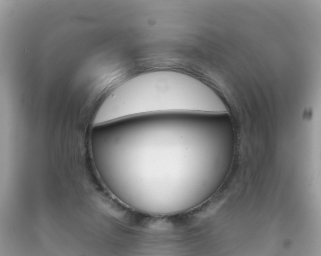X0000092220258200709140927