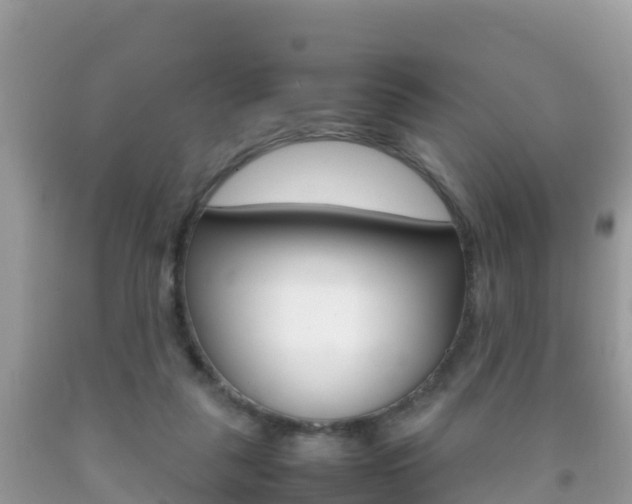 X0000092220259200709140927