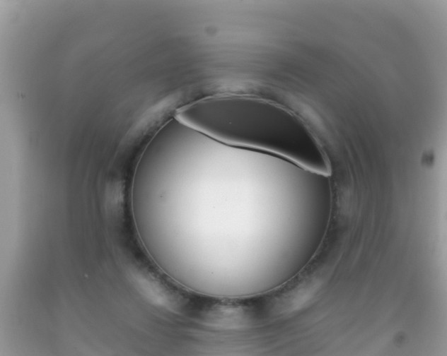 X0000092220260200709140927