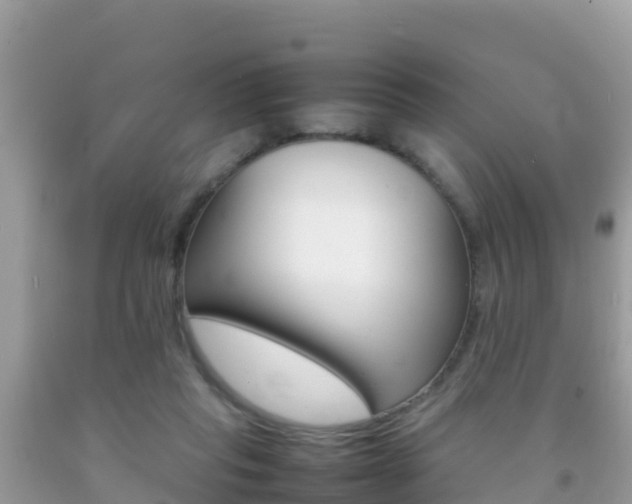 X0000092220261200709140927